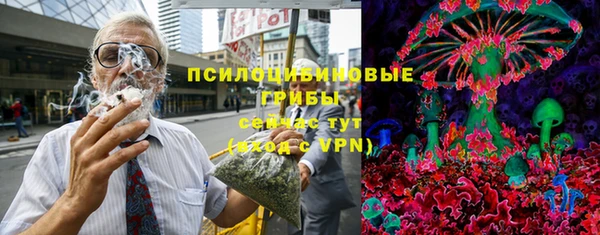не бодяженный Горнозаводск