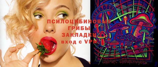 экстази Горняк