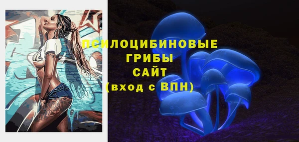 прущие грибы Усинск